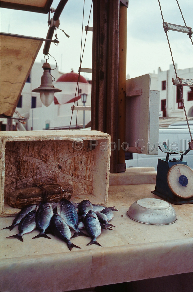 Mykonos, Cyclades Islands, Greece
 (cod:Greece29)